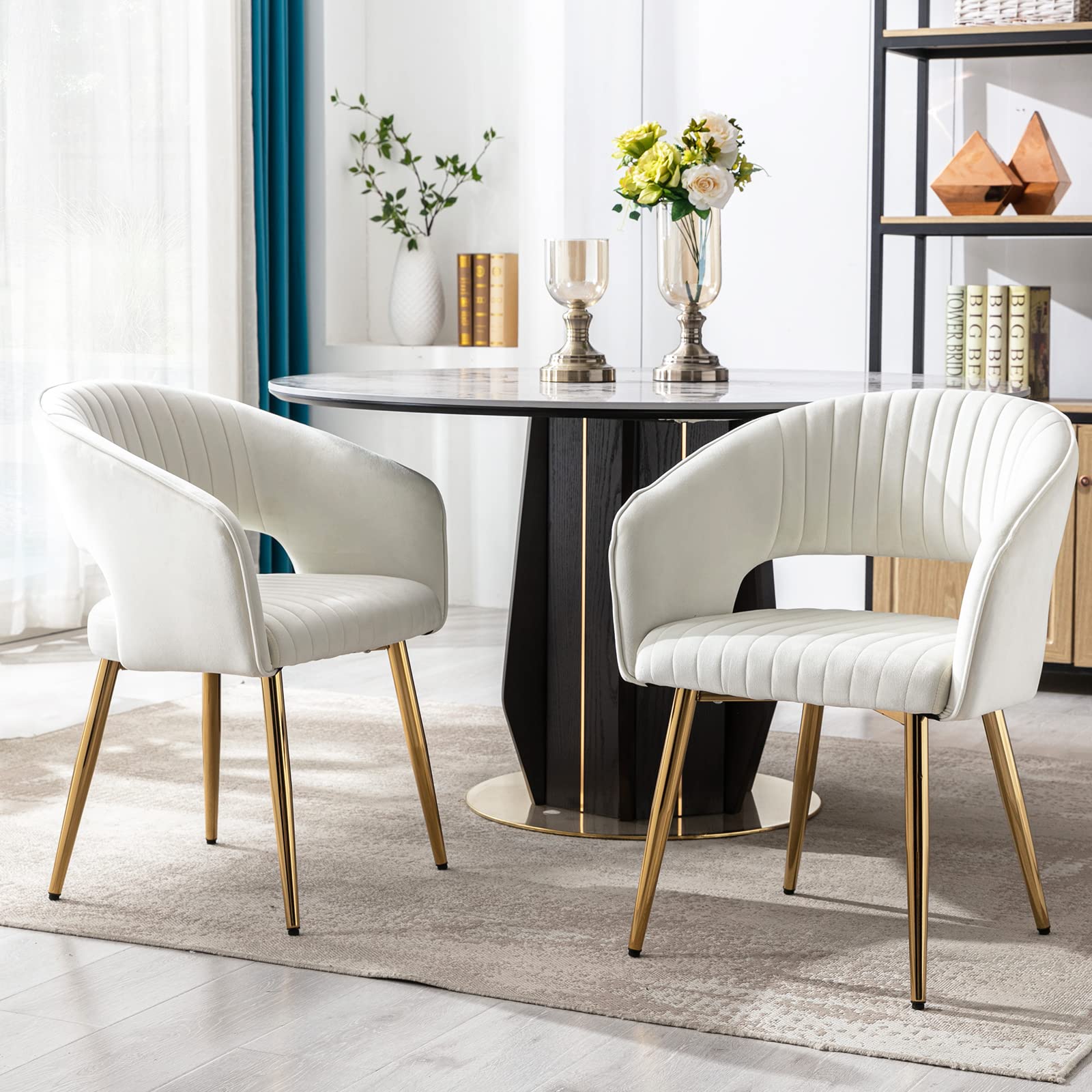 CHICAURA Modern Dining Chairs Set of 2 - 3059DC