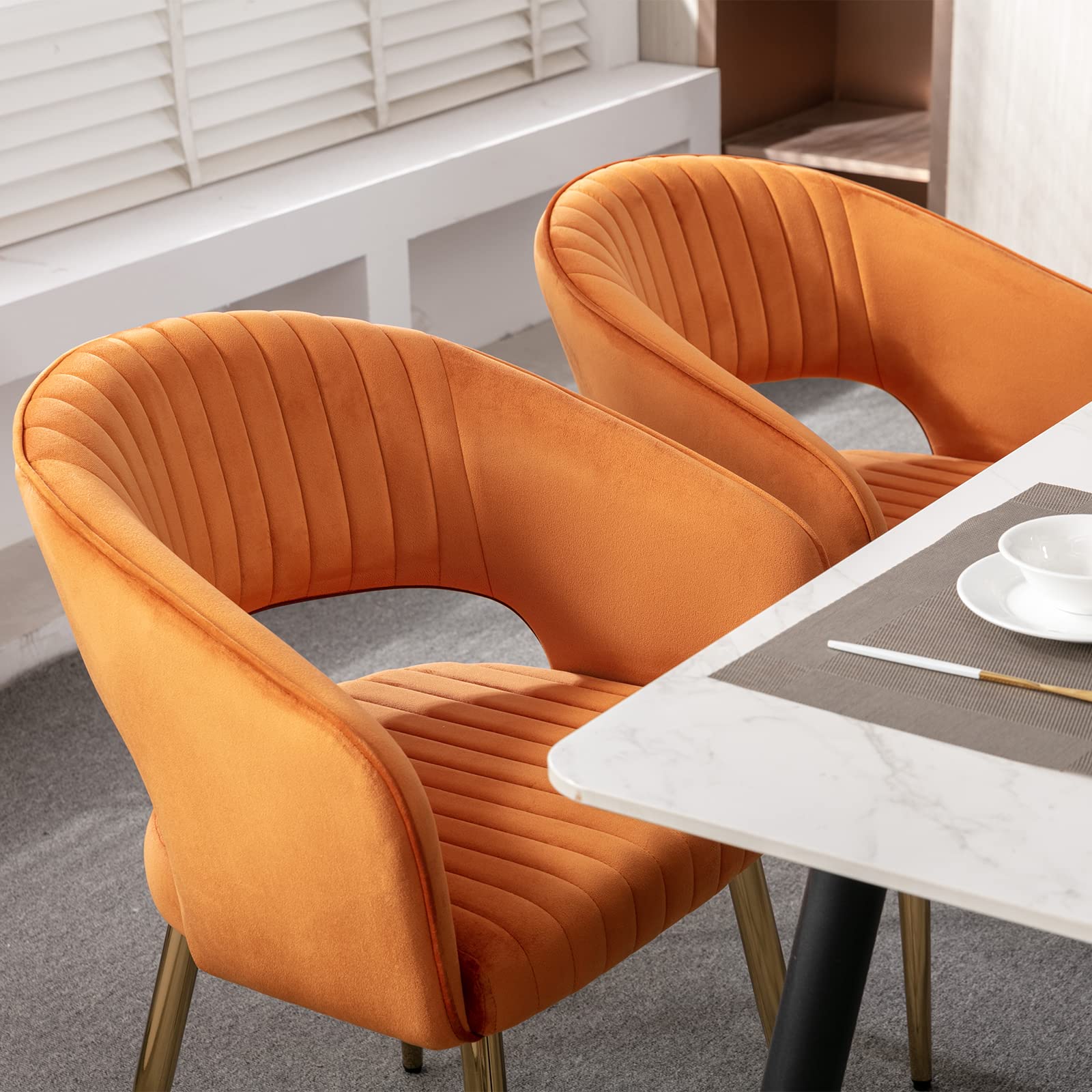 CHICAURA Modern Dining Chairs Set of 2 - 3059DC