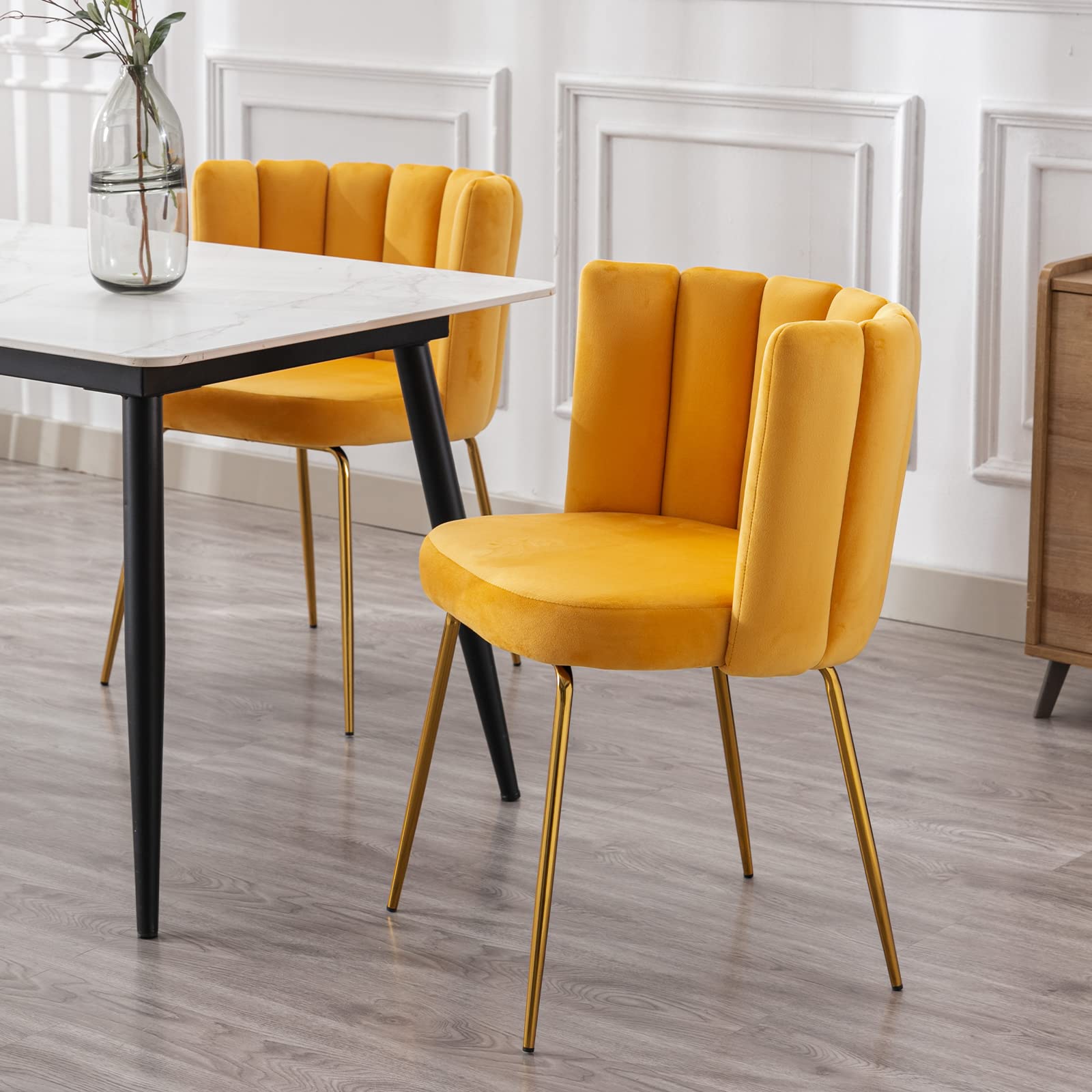 CHICAURA Modern Metal Legs Dining Chairs Set of 2 - 9029DC