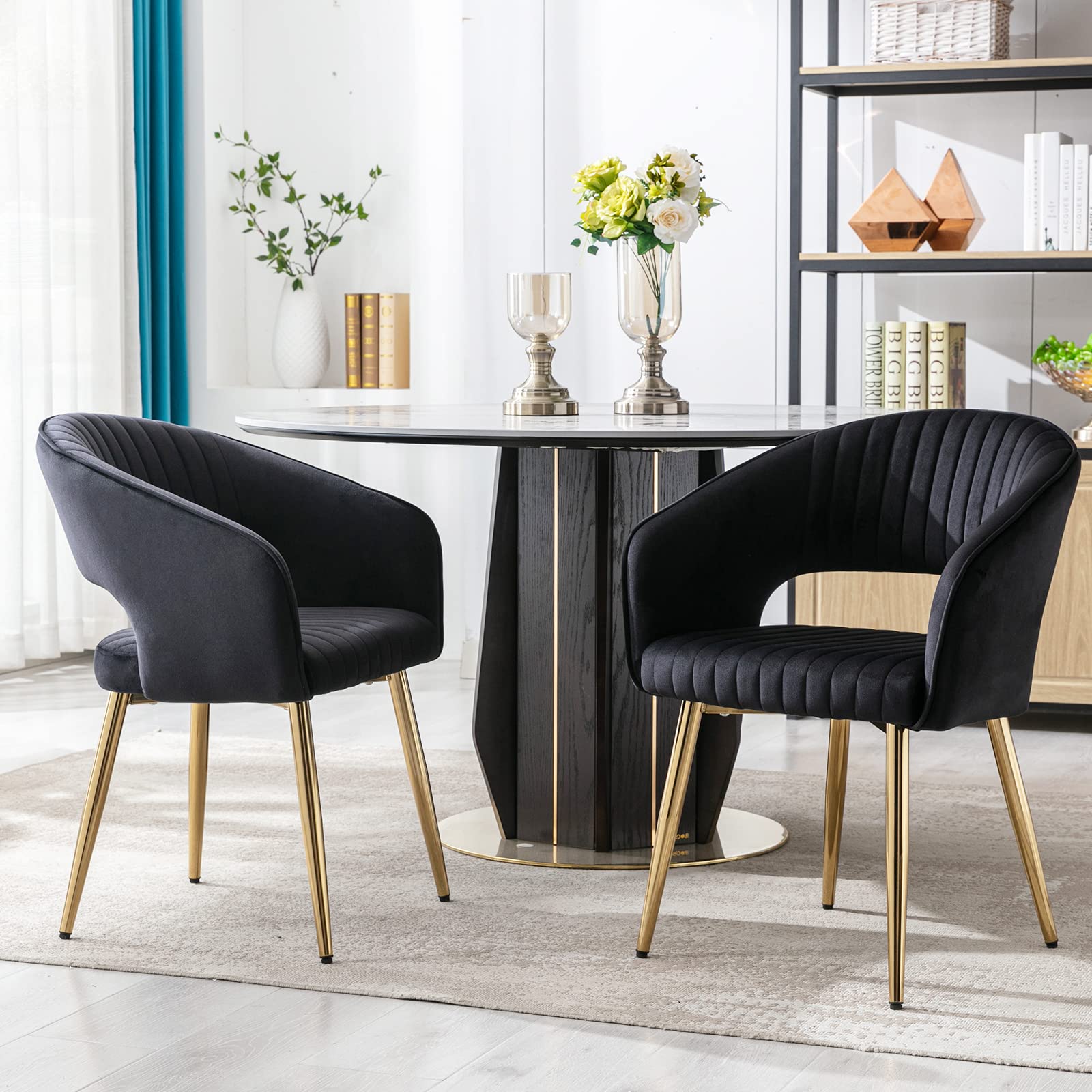 CHICAURA Modern Dining Chairs Set of 2 - 3059DC