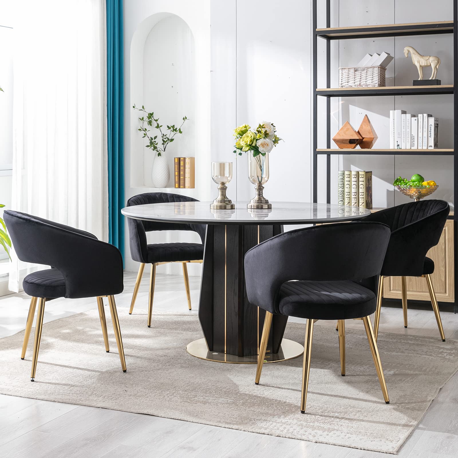 CHICAURA Modern Dining Chairs Set of 2 - 3059DC