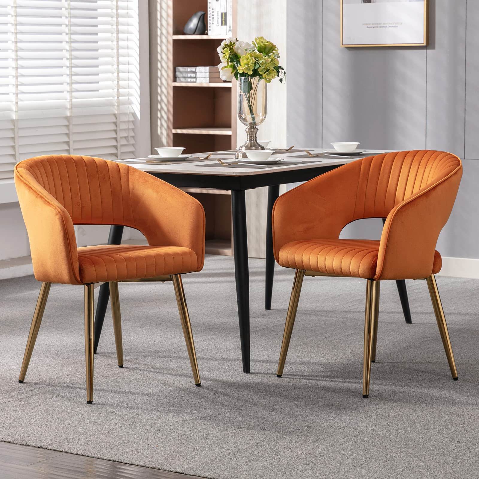 CHICAURA Modern Dining Chairs Set of 2 - 3059DC