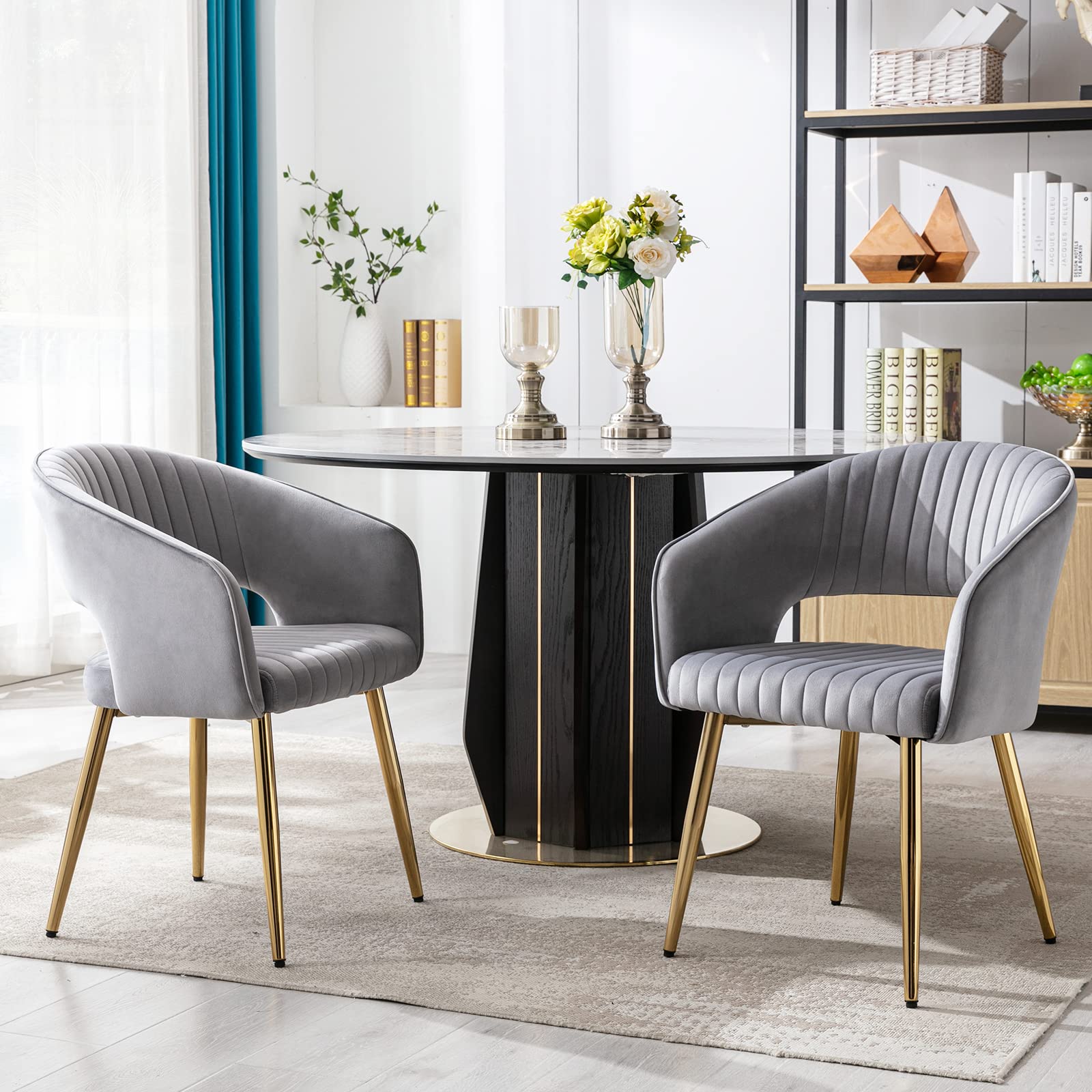 CHICAURA Modern Dining Chairs Set of 2 - 3059DC