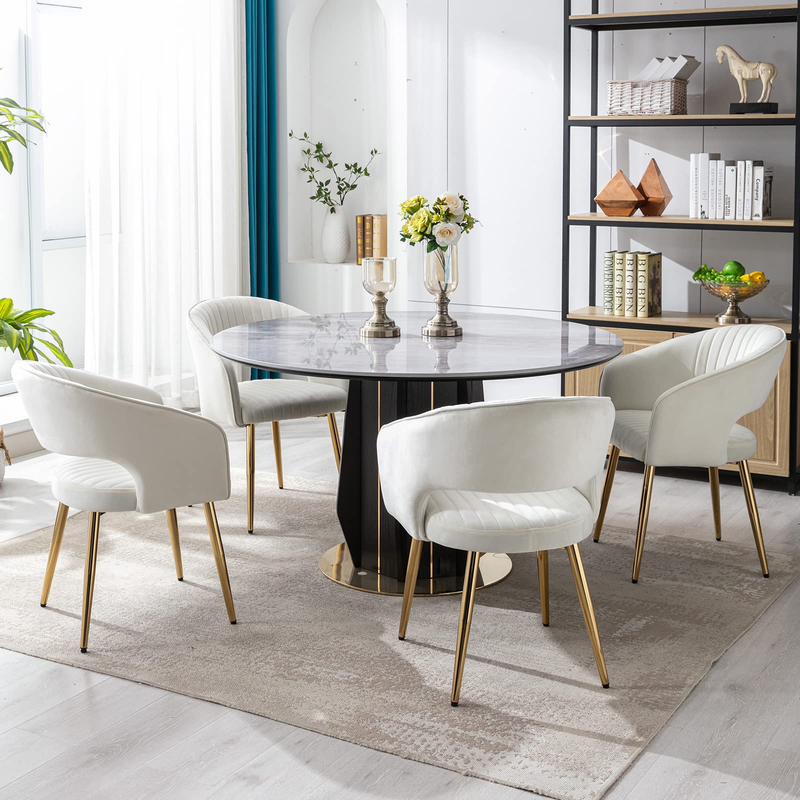 CHICAURA Modern Dining Chairs Set of 2 - 3059DC