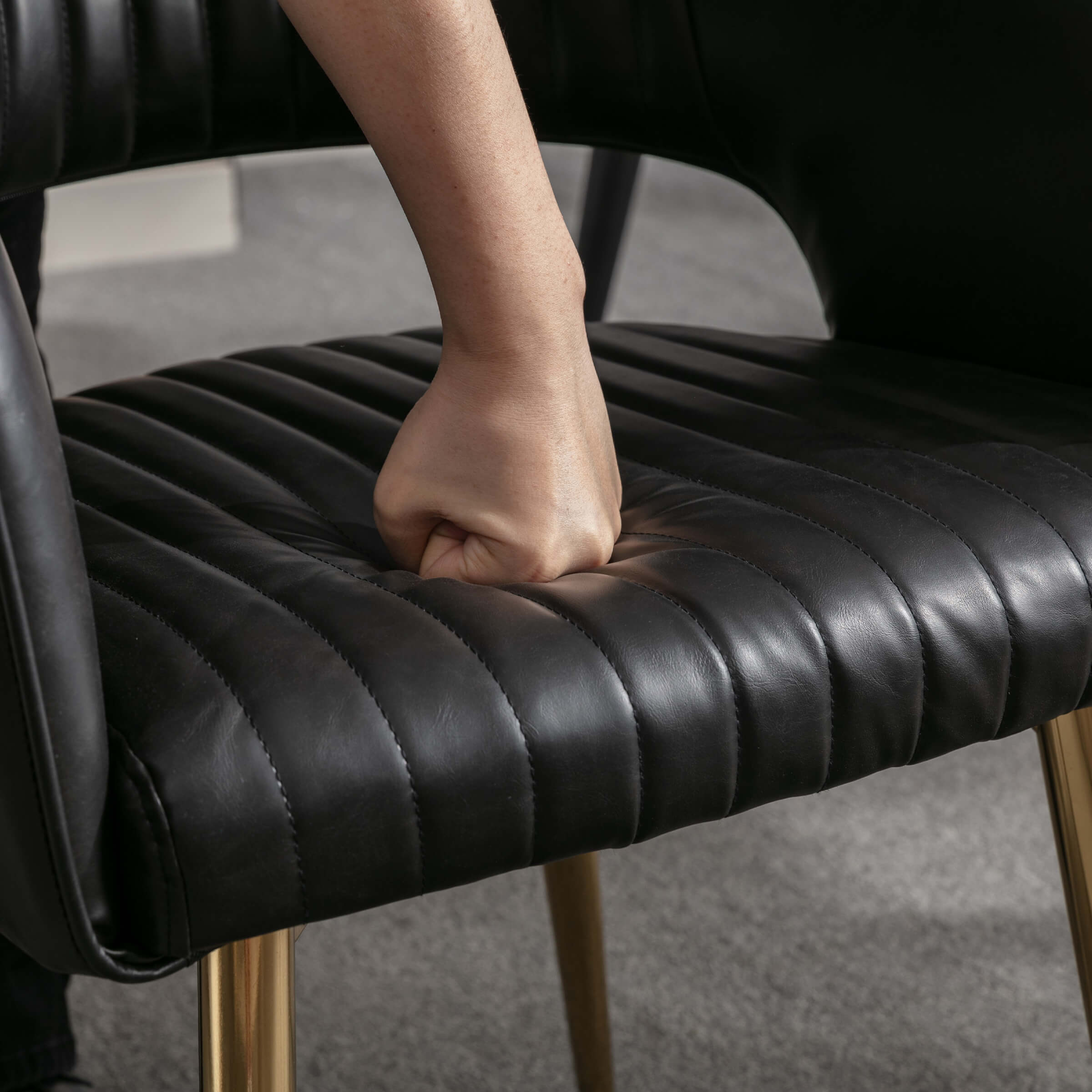 CHICAURA Modern Dining Chairs Set of 2 - 3059DC