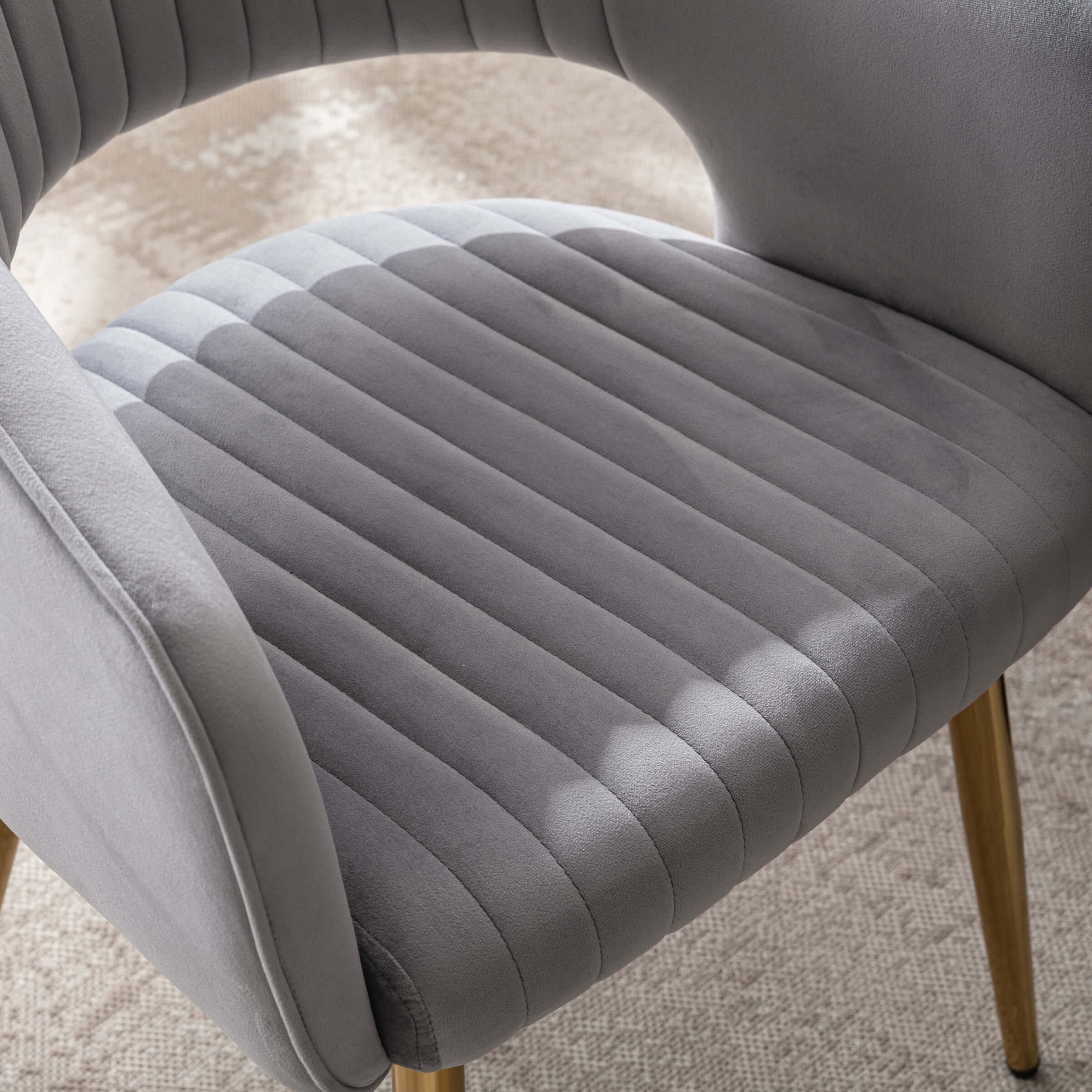 CHICAURA Modern Dining Chairs Set of 2 - 3059DC