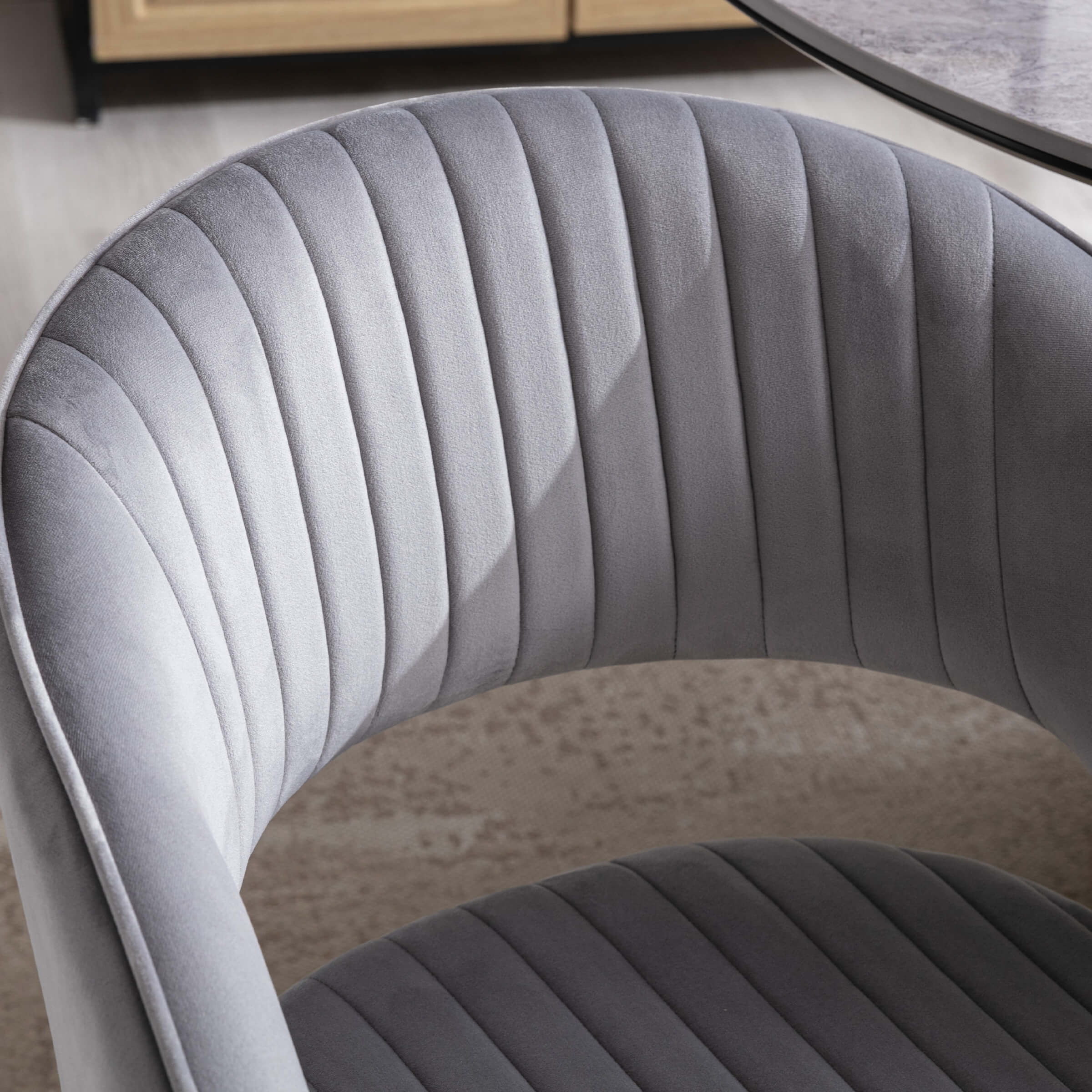 CHICAURA Modern Dining Chairs Set of 2 - 3059DC