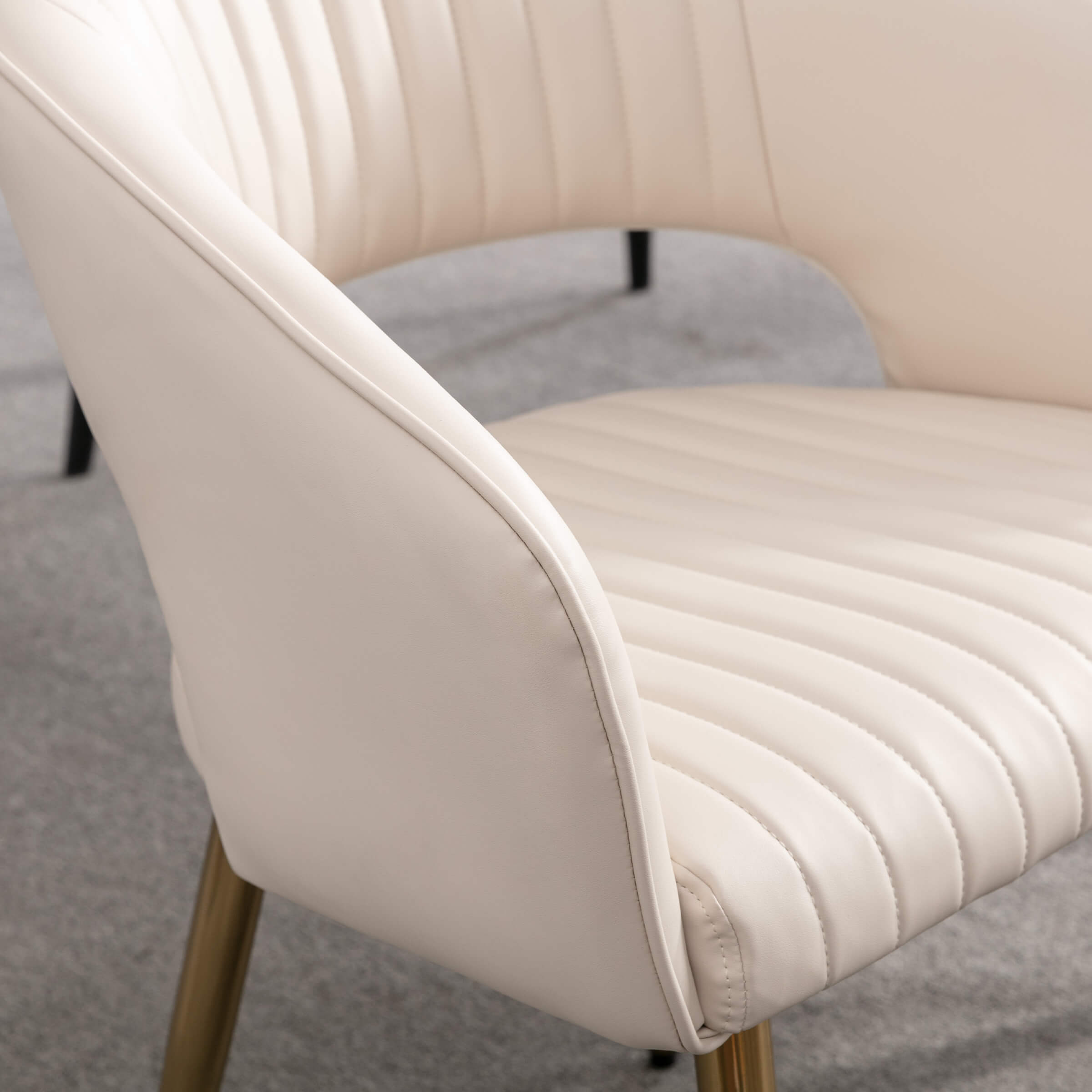 CHICAURA Modern Dining Chairs Set of 2 - 3059DC