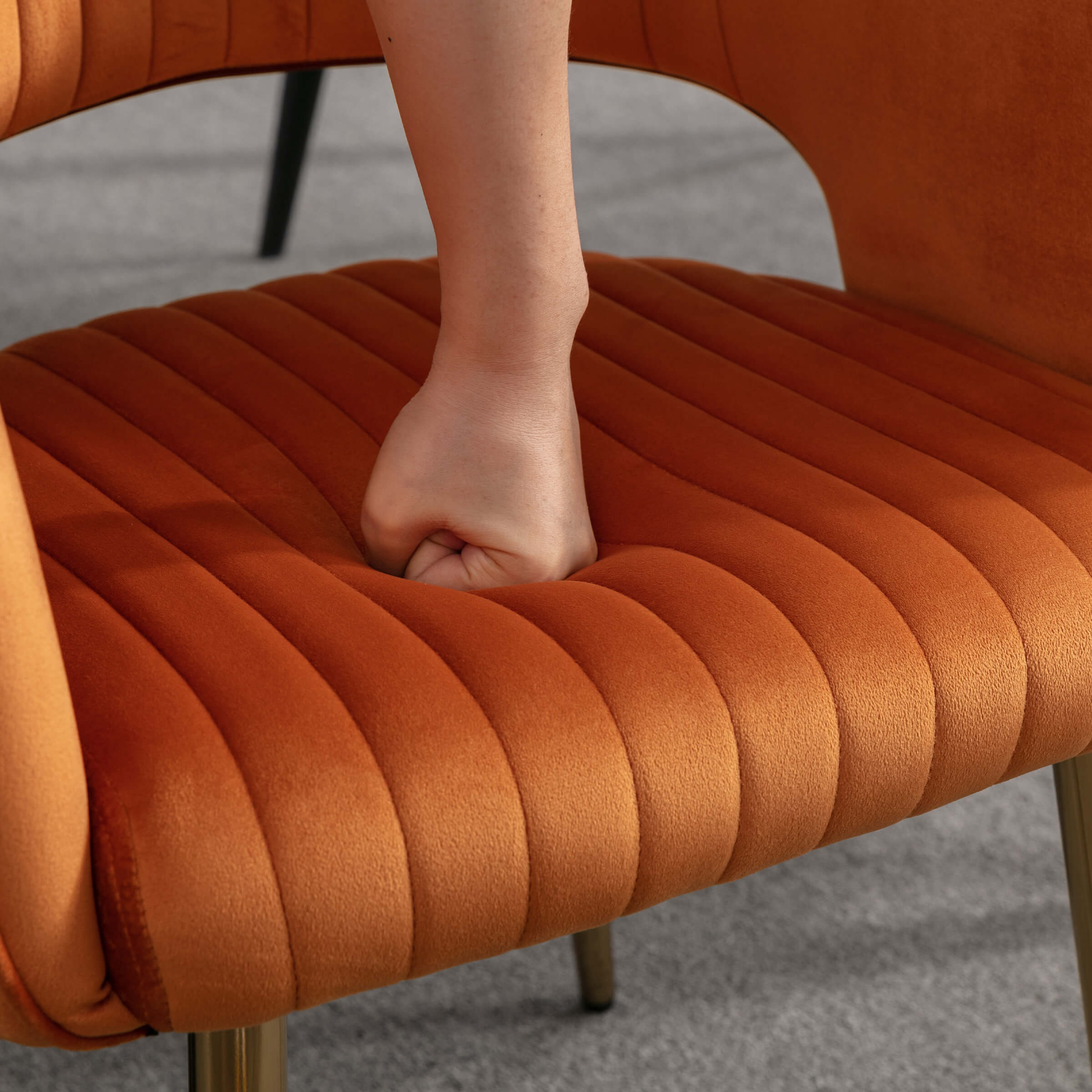 CHICAURA Modern Dining Chairs Set of 2 - 3059DC