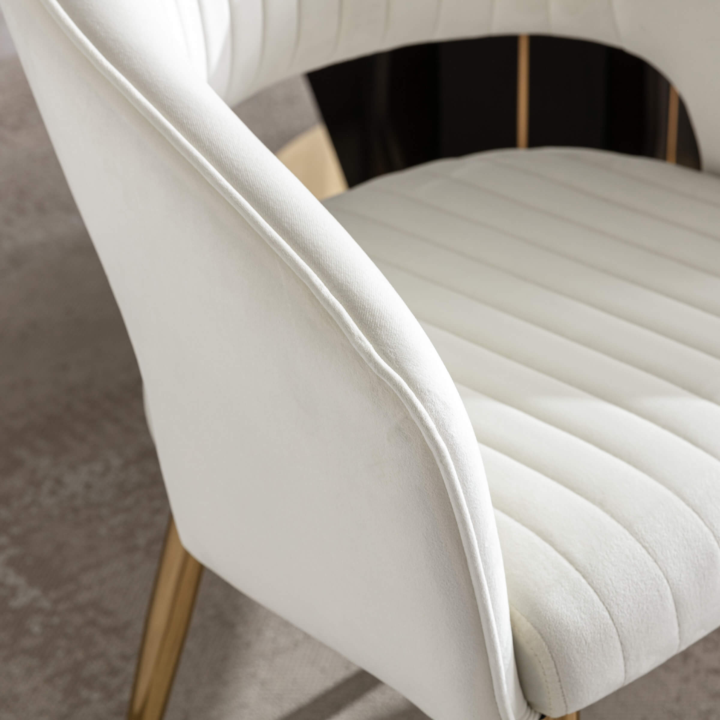 CHICAURA Modern Dining Chairs Set of 2 - 3059DC