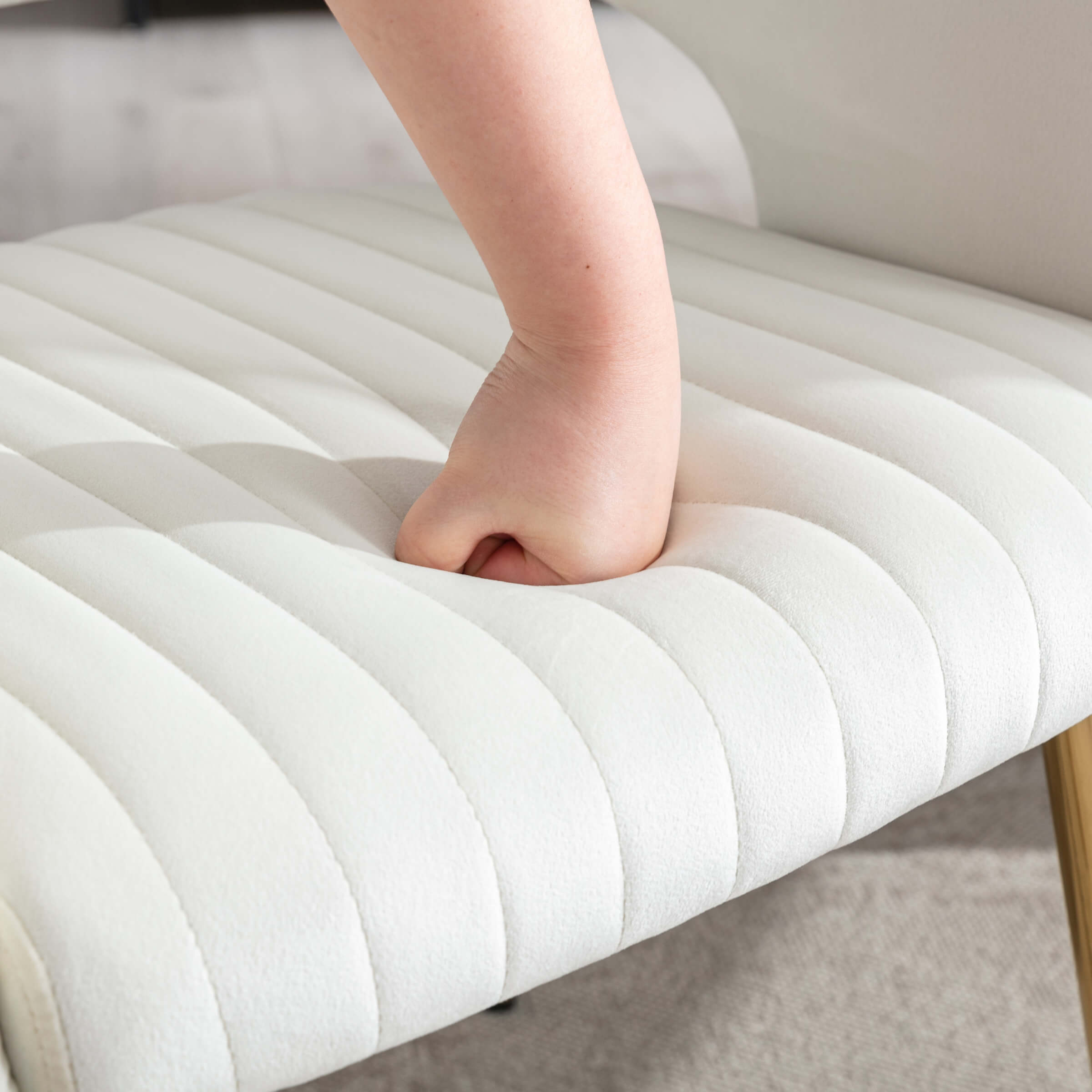 CHICAURA Modern Dining Chairs Set of 2 - 3059DC