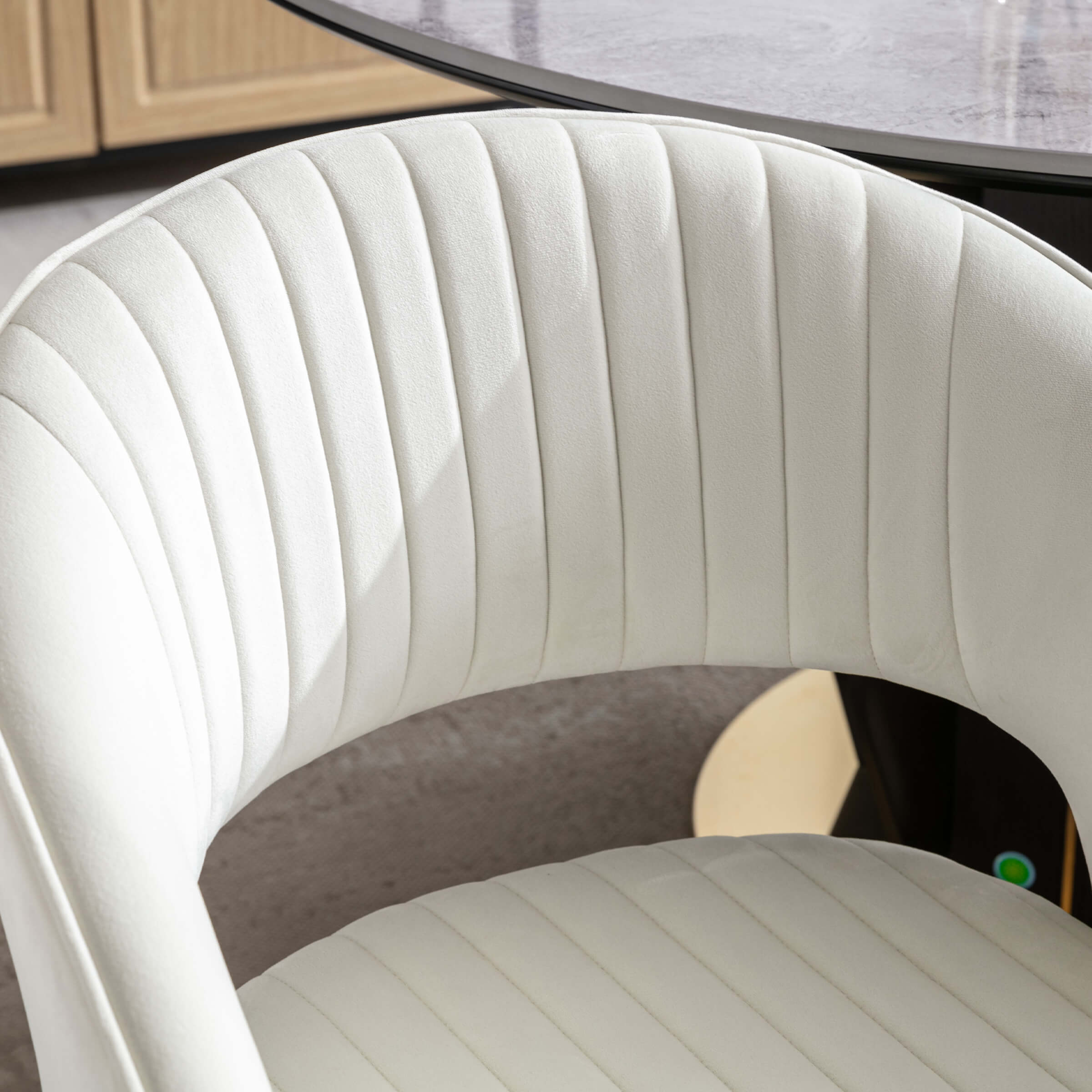 CHICAURA Modern Dining Chairs Set of 2 - 3059DC