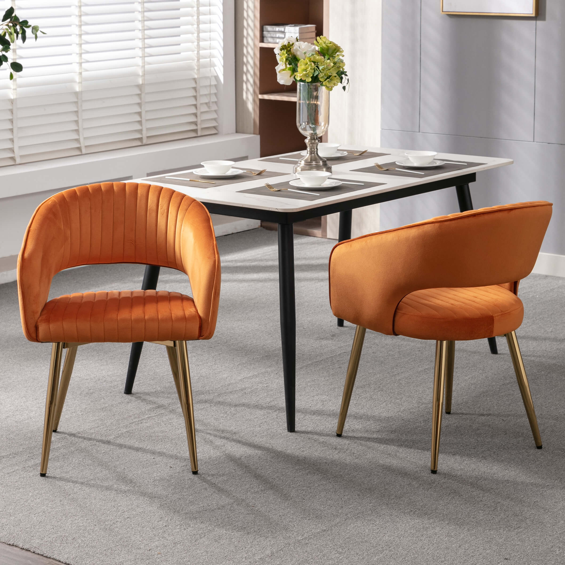 CHICAURA Modern Dining Chairs Set of 2 - 3059DC