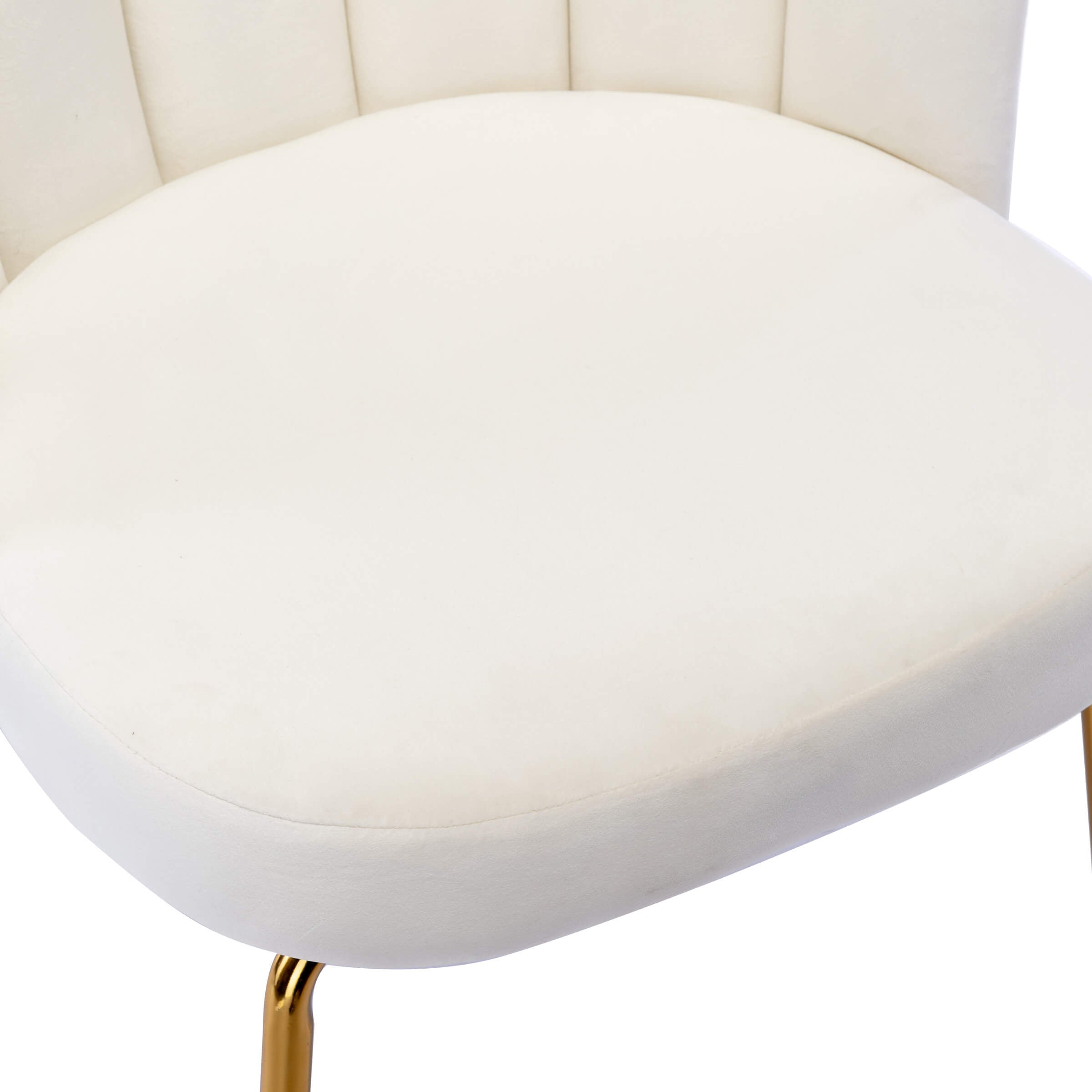 CHICAURA Modern Metal Legs Dining Chairs Set of 2 - 9029DC