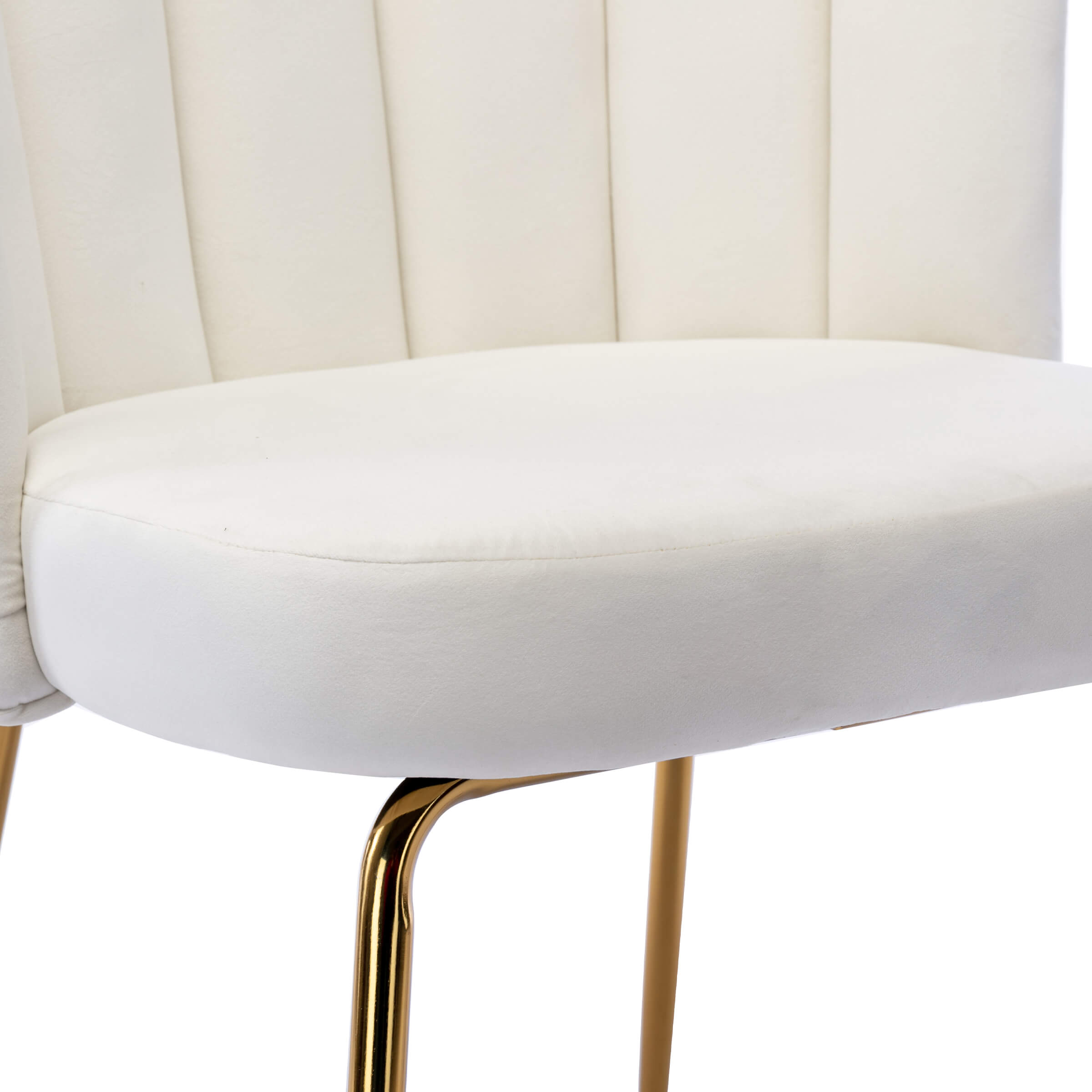 CHICAURA Modern Metal Legs Dining Chairs Set of 2 - 9029DC