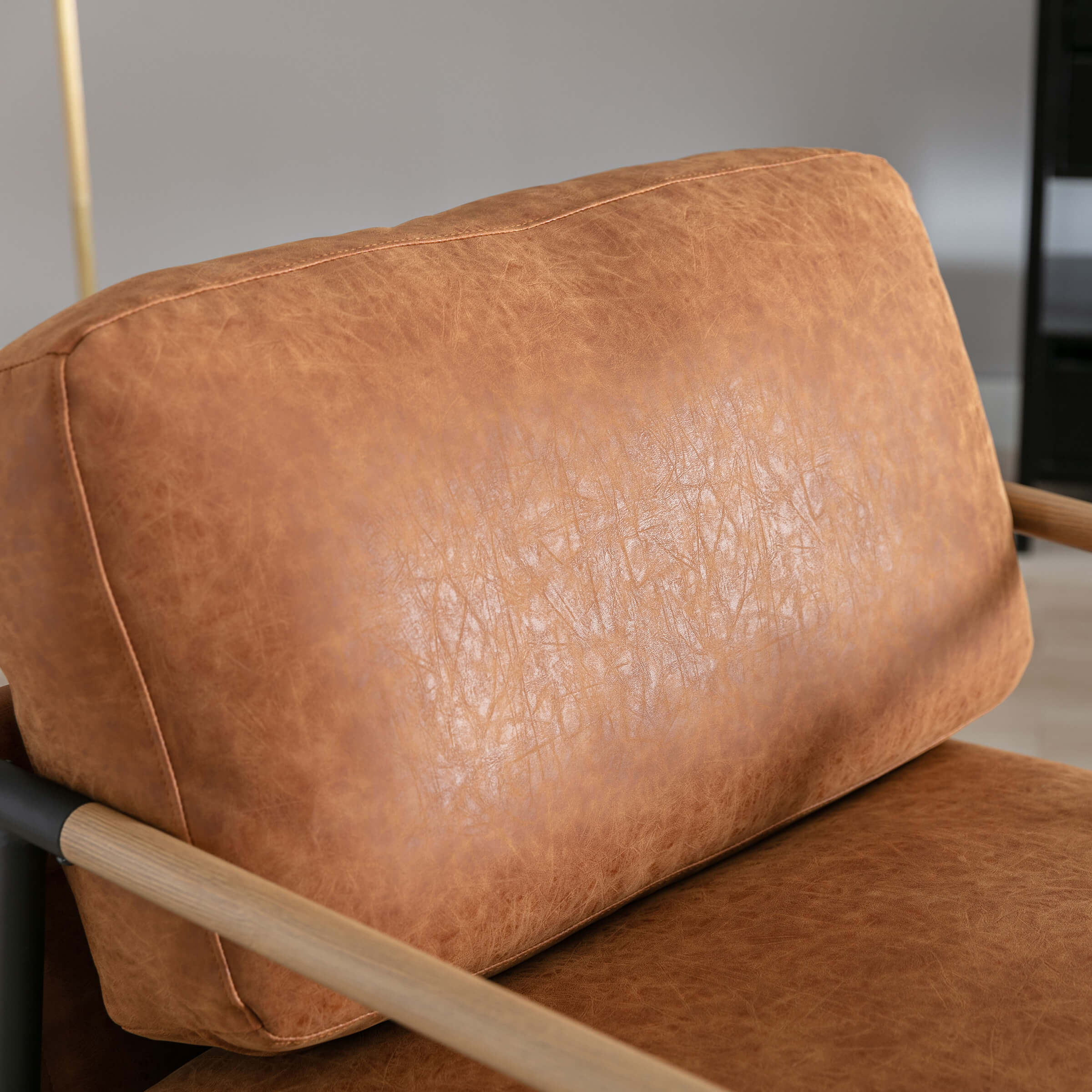 VESCASA Lounge Accent Chair 1 PCS - 19005AC