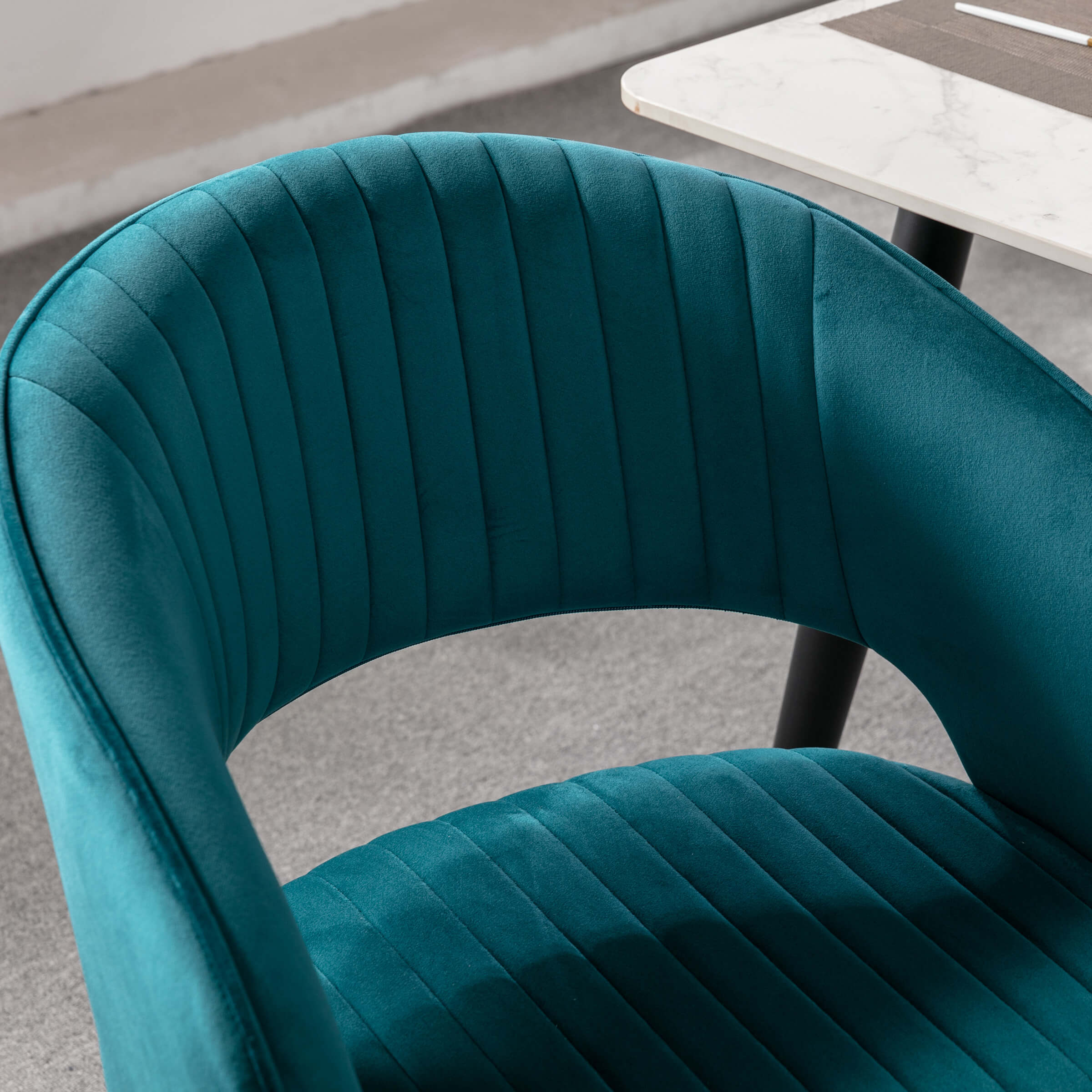 CHICAURA Modern Dining Chairs Set of 2 - 3059DC