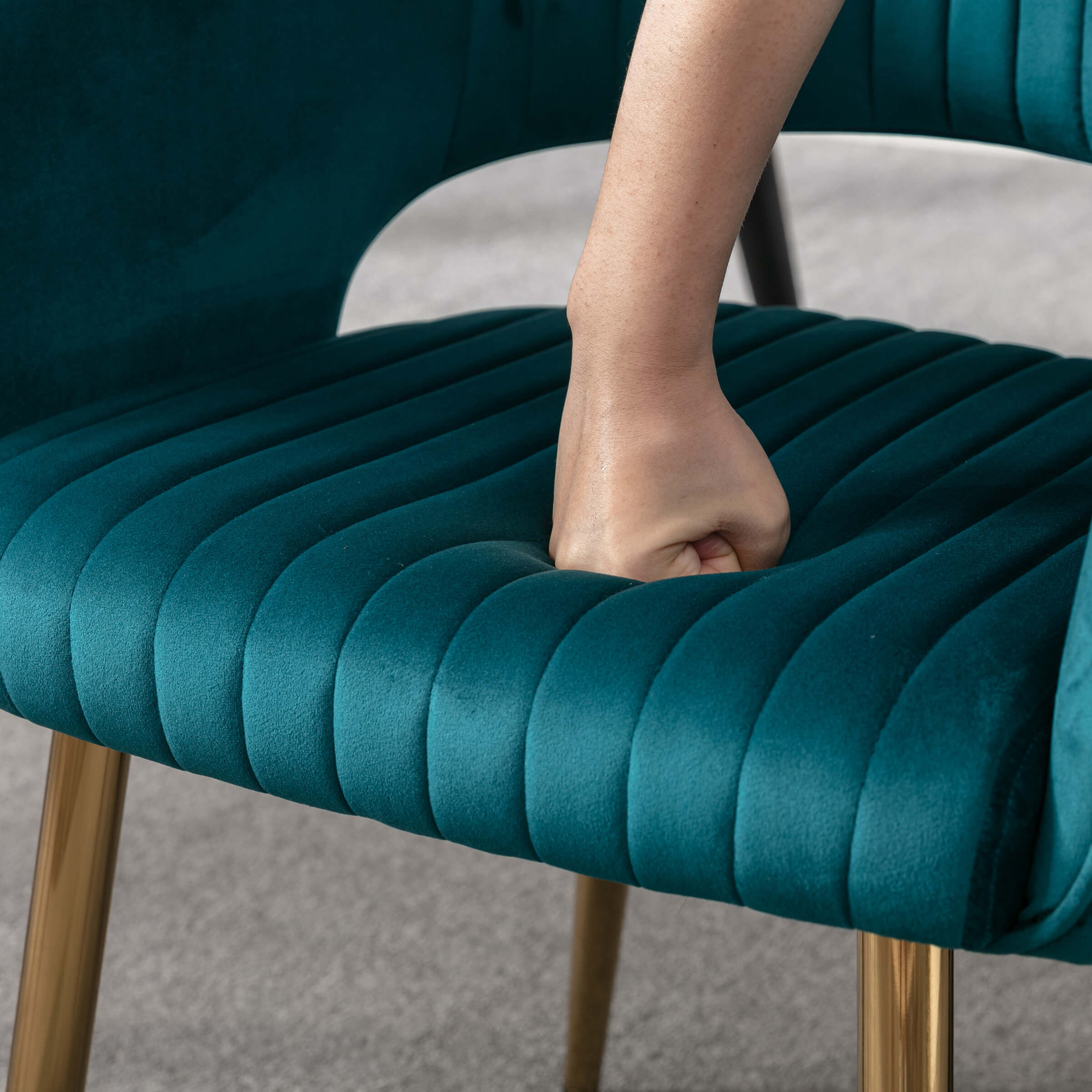 CHICAURA Modern Dining Chairs Set of 2 - 3059DC