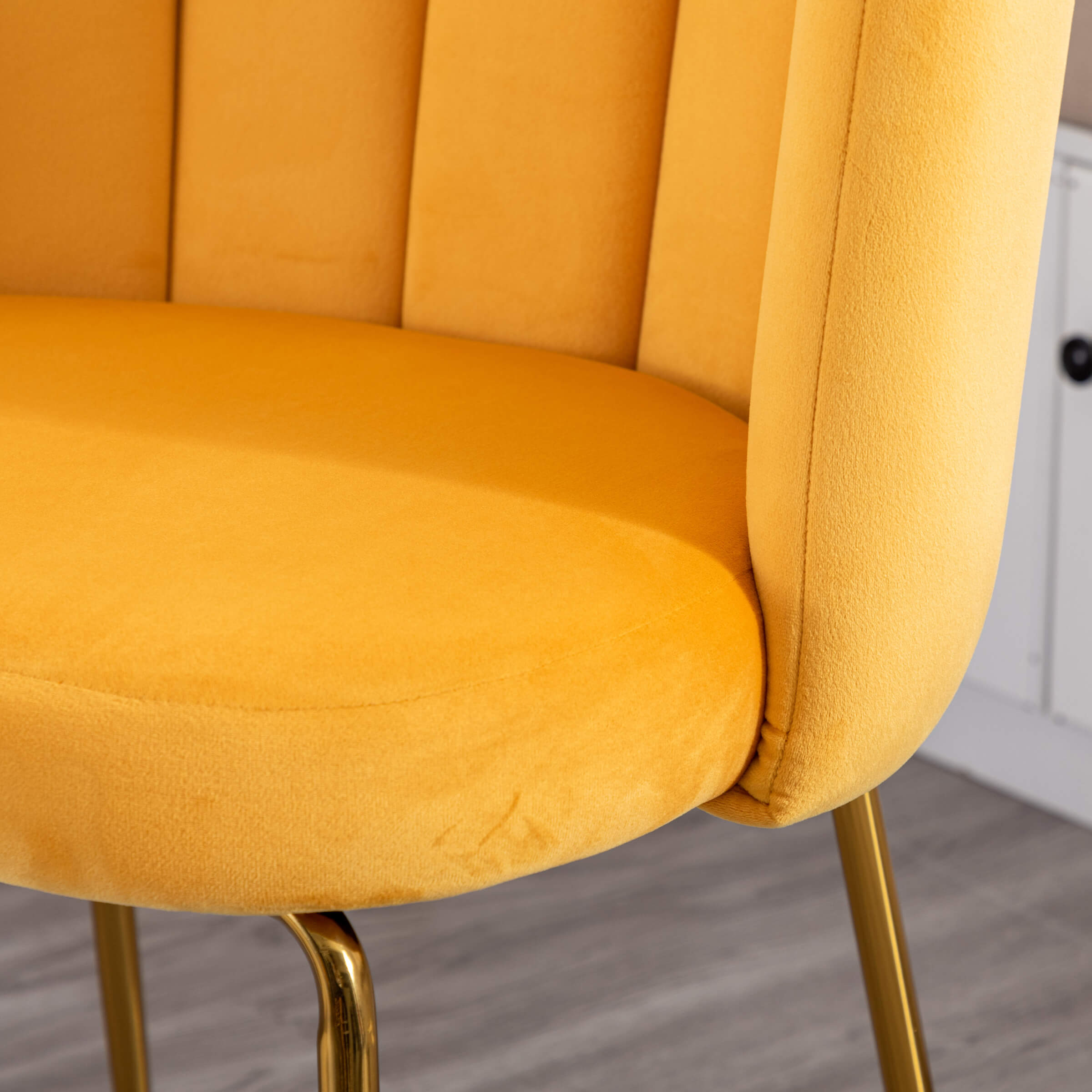 CHICAURA Modern Metal Legs Dining Chairs Set of 2 - 9029DC