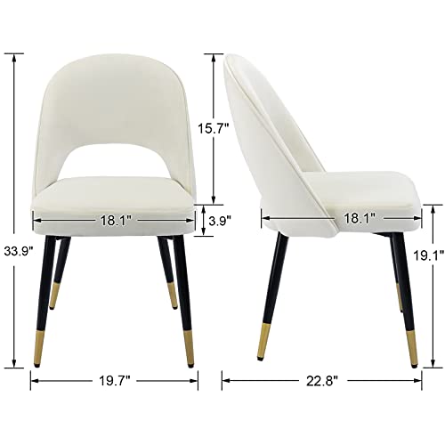 CHICAURA Modern Armless Dining Chair Set of 2 - 3058DC