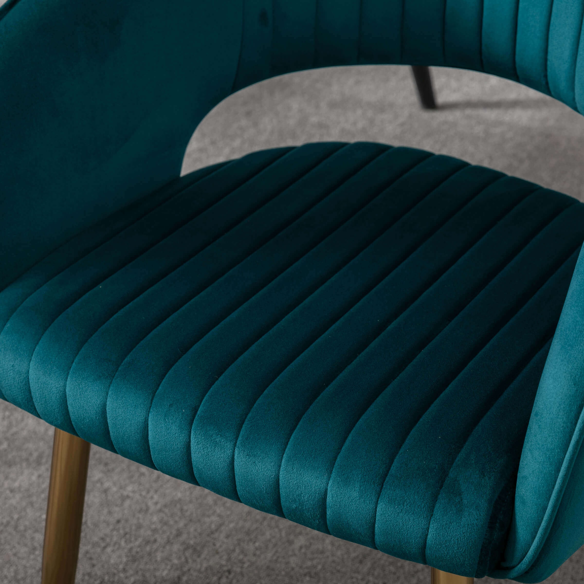 CHICAURA Modern Dining Chairs Set of 2 - 3059DC