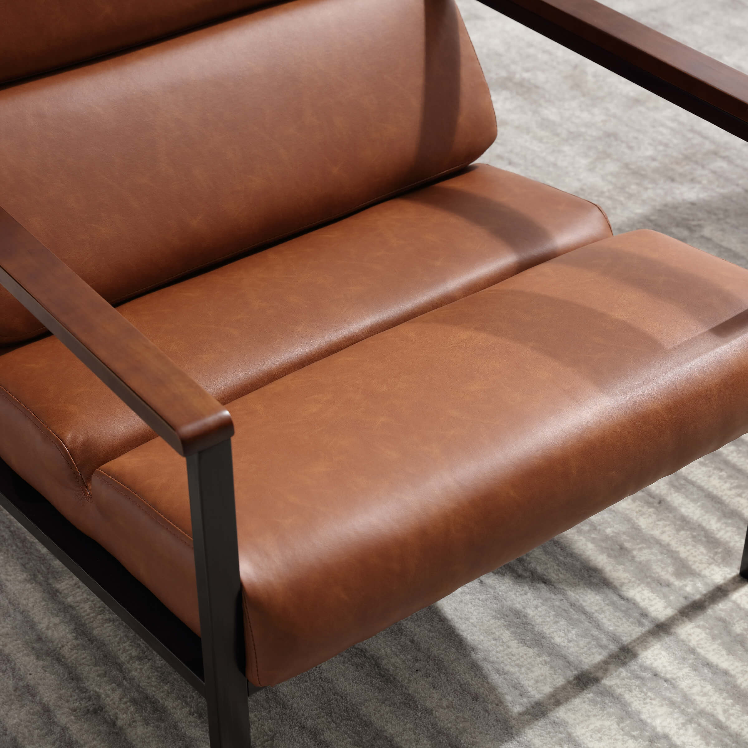 EALSON Modern Metal Frame Accent Chair 1 PCS - X380AC