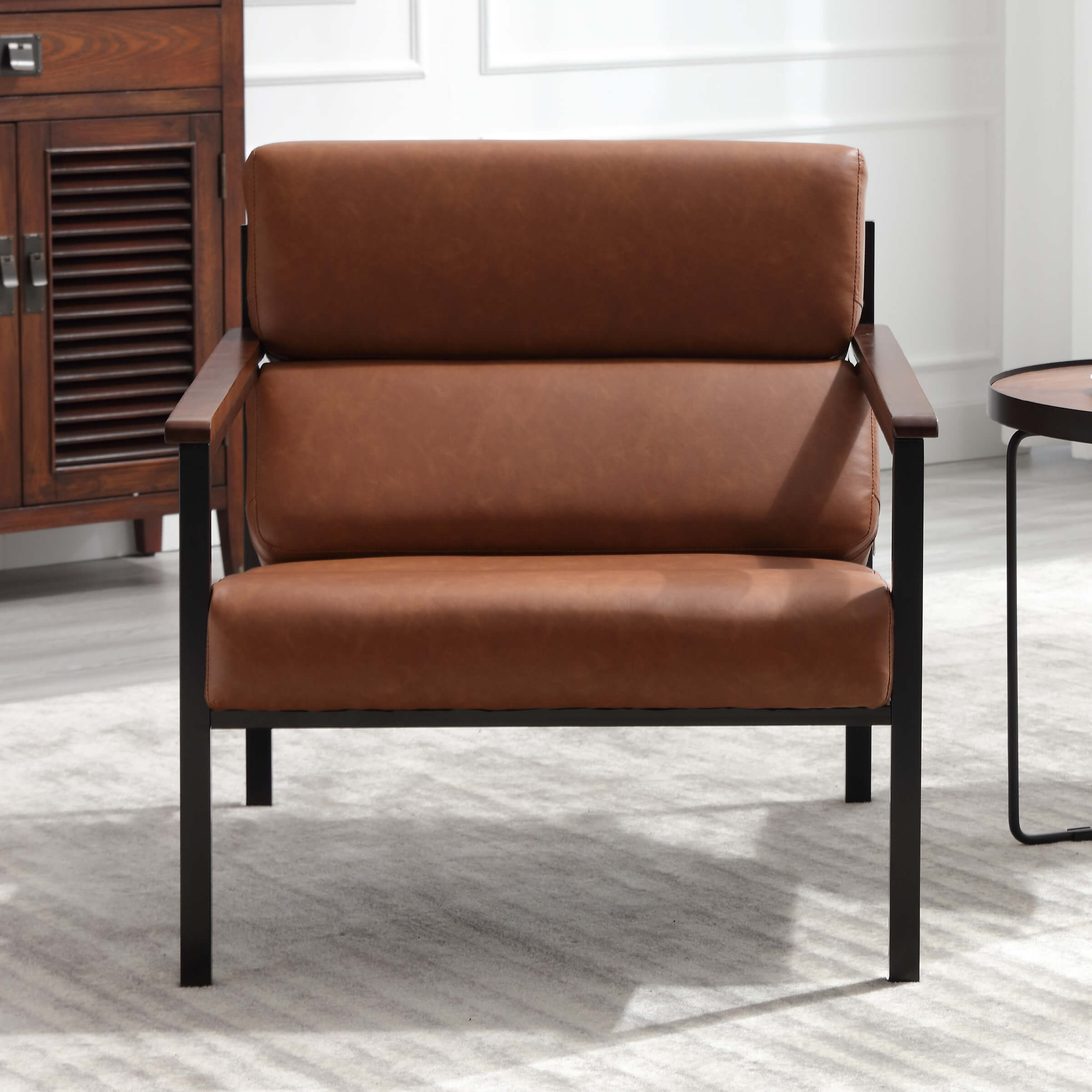 EALSON Modern Metal Frame Accent Chair 1 PCS - X380AC