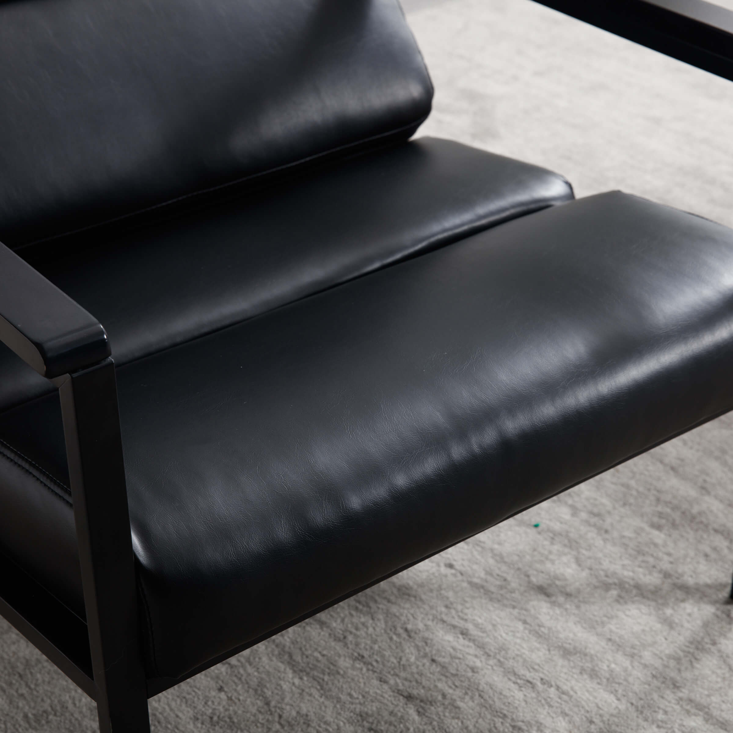 EALSON Modern Metal Frame Accent Chair 1 PCS - X380AC