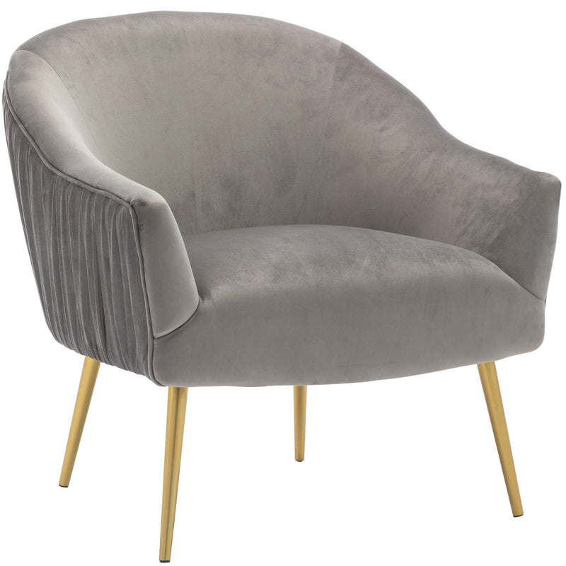 Chairus Velvet Accent Chair with Gold Legs, 3409-G